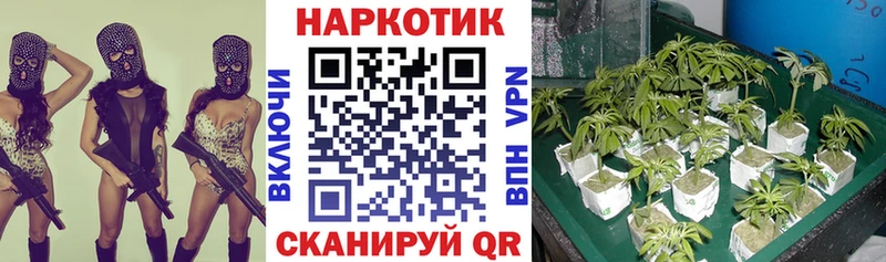 Хочу наркоту Павловск COCAIN  LSD-25  Меф  ГАШИШ  Канабис  Галлюциногенные грибы 