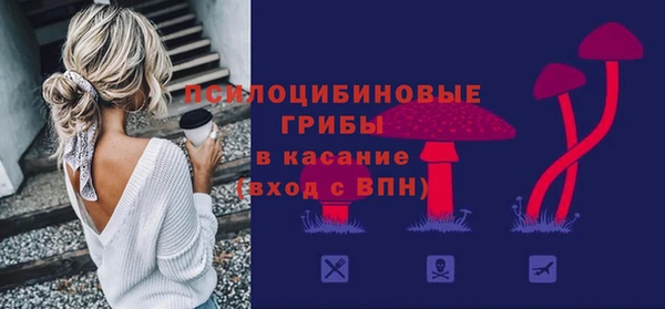 бутират Белокуриха