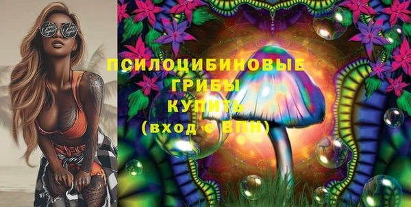 бутират Белокуриха