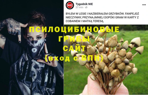 метадон Приозерск