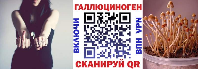 Псилоцибиновые грибы Cubensis  наркотики  кракен ONION  Павловск 