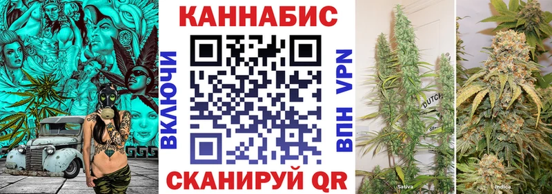где купить наркотик Павловск МАРИХУАНА LSD WEED